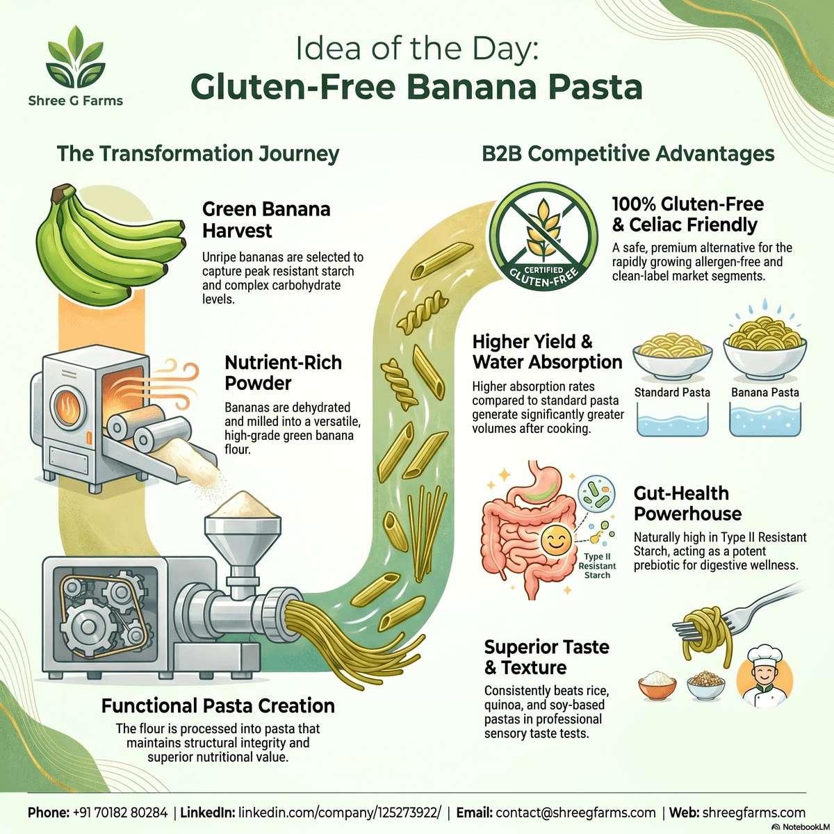 Gluten-Free Pasta from Green Banana Powder