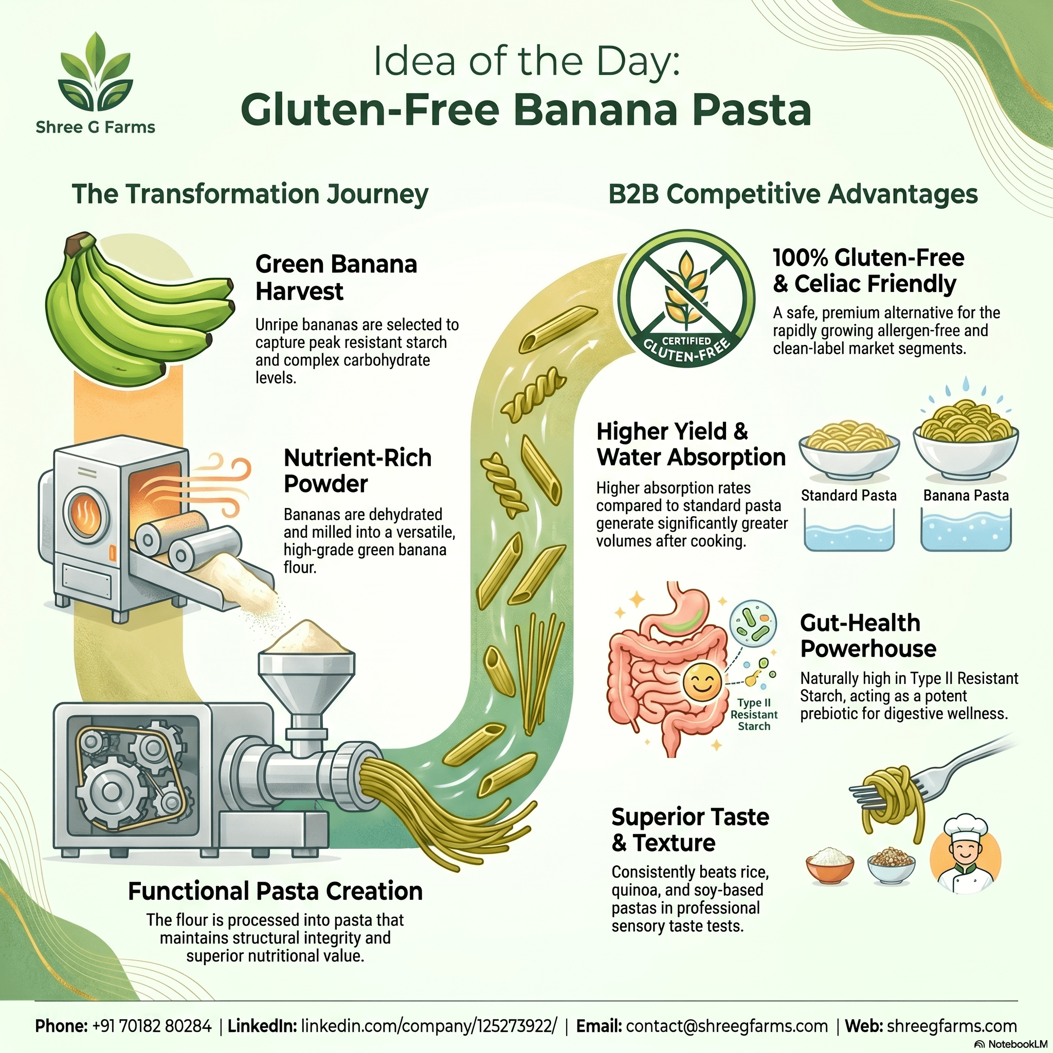 Gluten-Free Pasta from Green Banana Powder